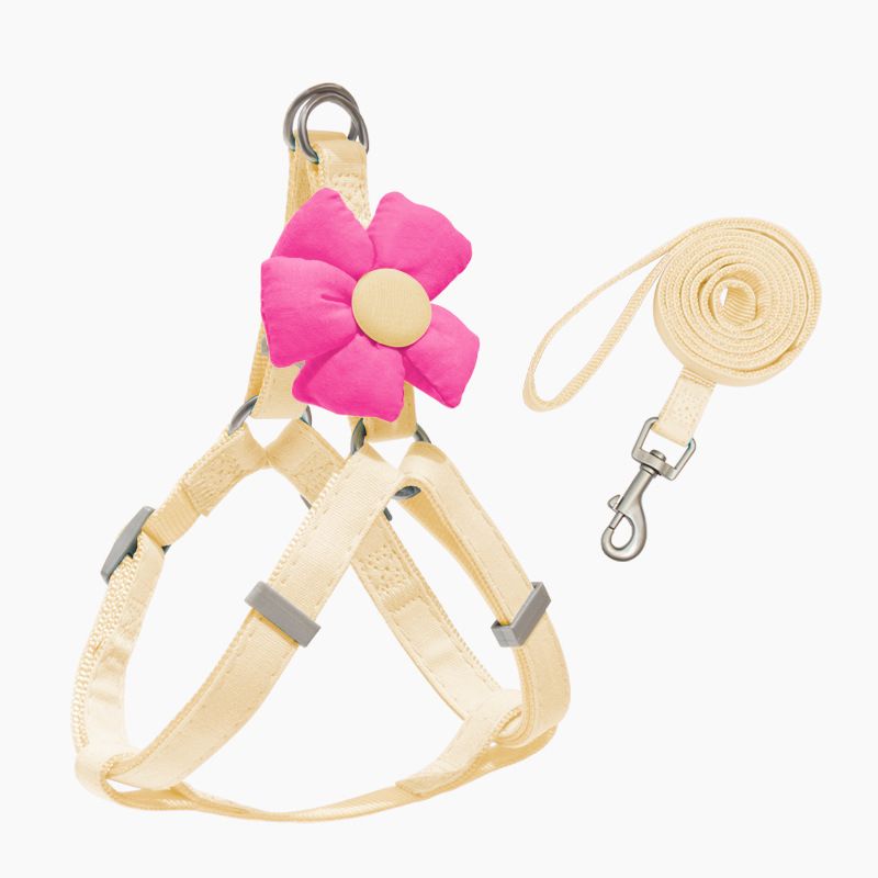 Zichen Dog Leash Harness Set Polyester Small Medium Beige flower set — image 1