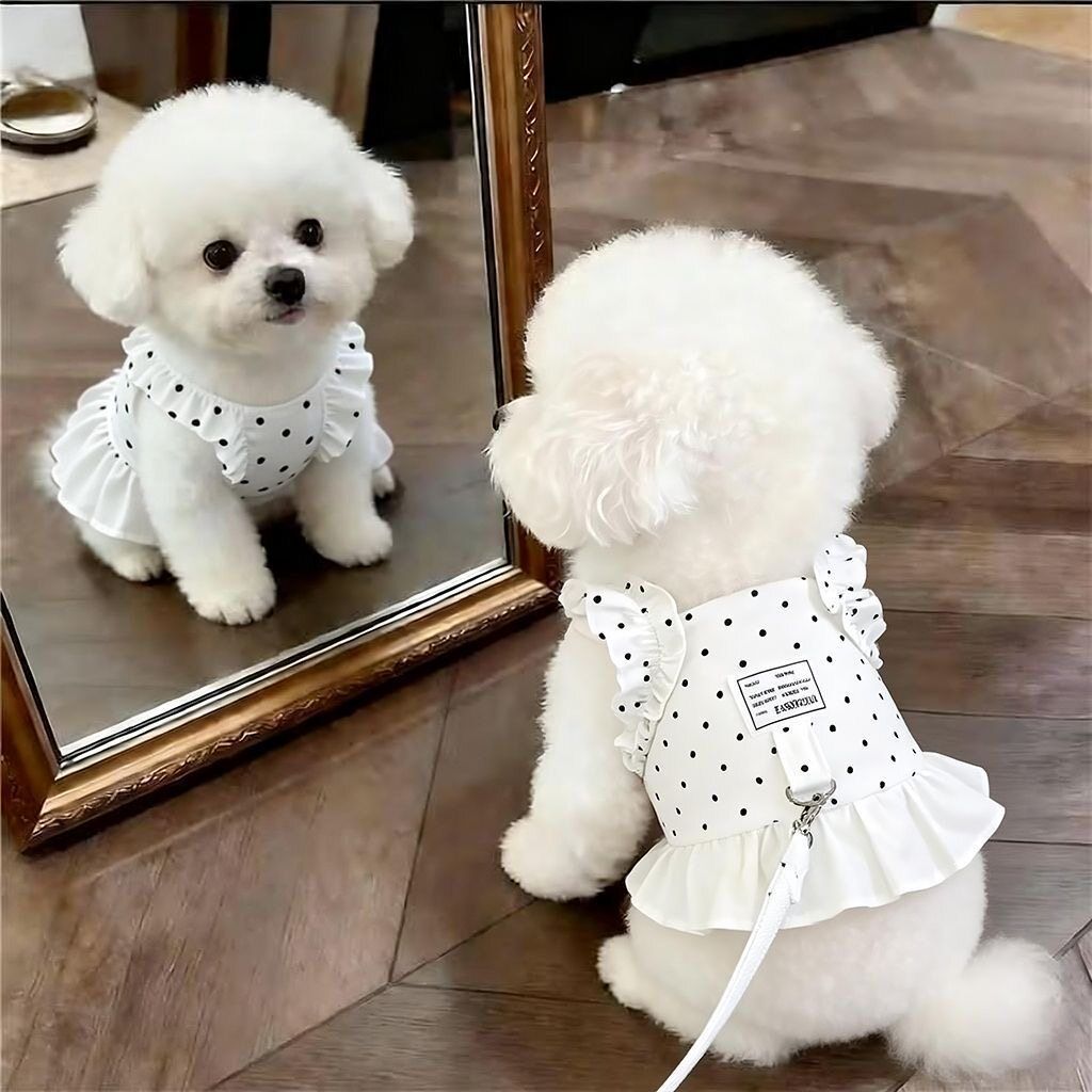 AMOOR Dog Summer Dress Lace Polka Dot Flutter Sleeve Floral Dress [Yellow] view 3