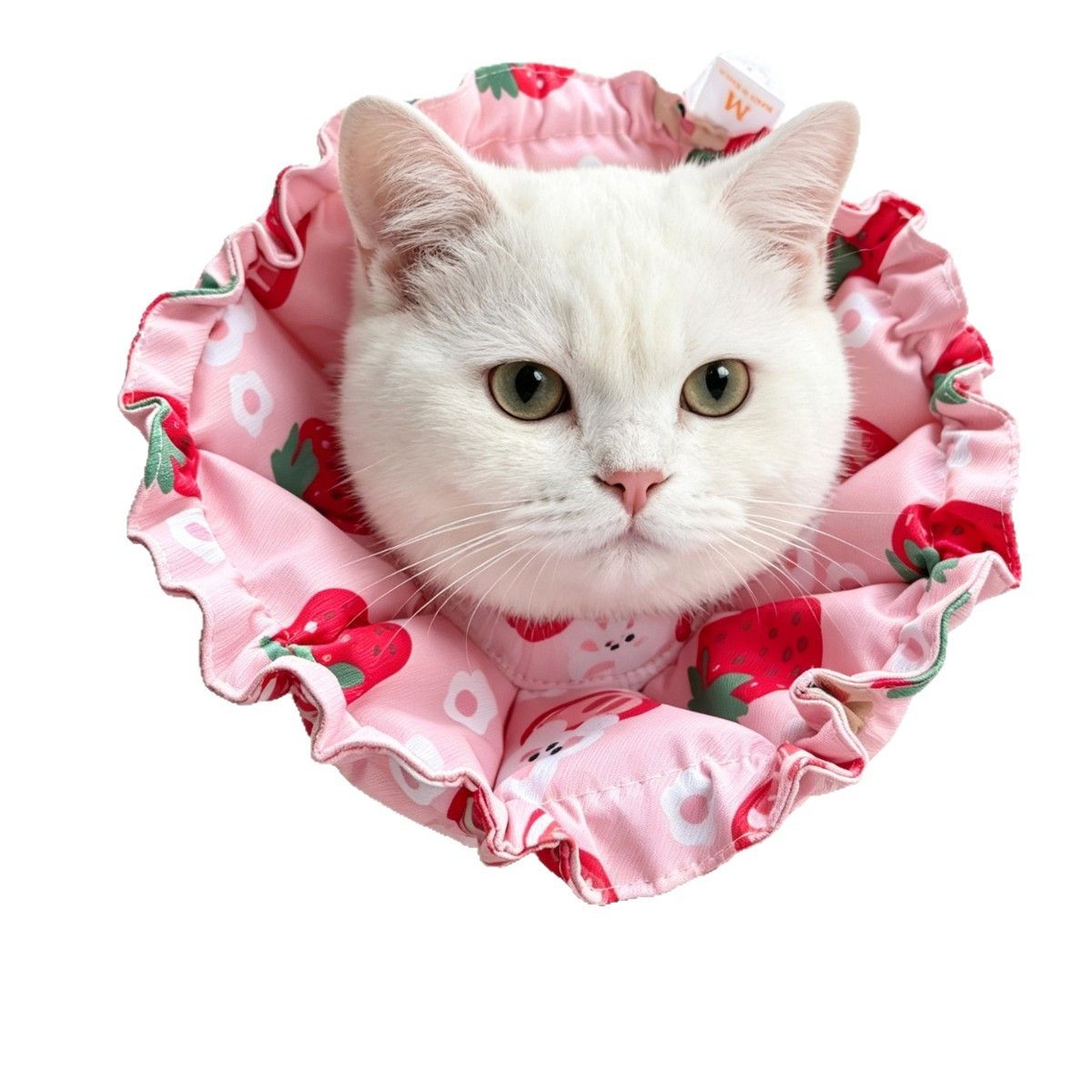 Soft Pet Elizabethan Collar Cartoon Waterproof. XL Navy Blue Kitten view 5