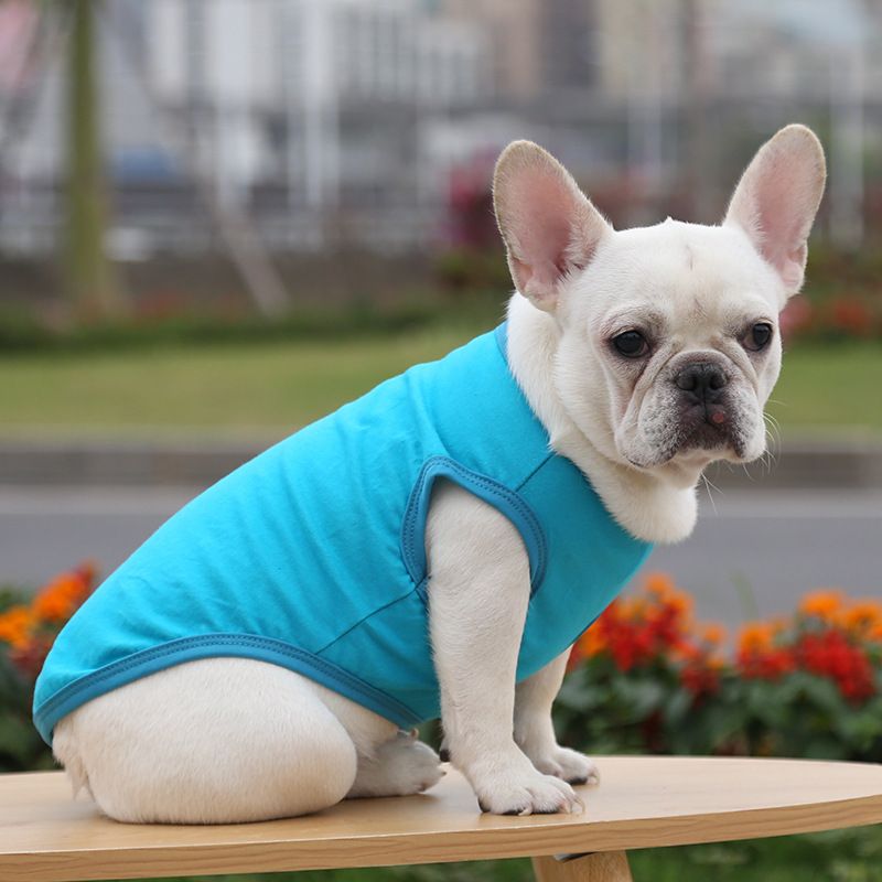 Cotton Pet Vest Dog Cat Clothing Small Large Pure cotton vest pure lake blue L — image 1