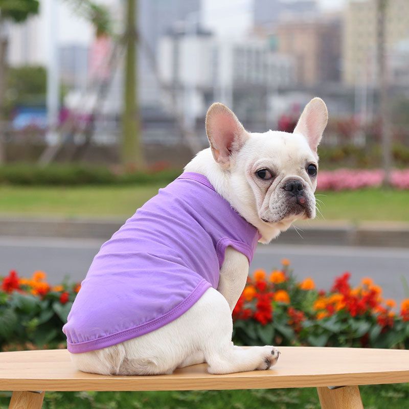 Cotton Pet Vest Dog Cat Clothing Small Large Pure cotton vest pure purple 3XL — image 1