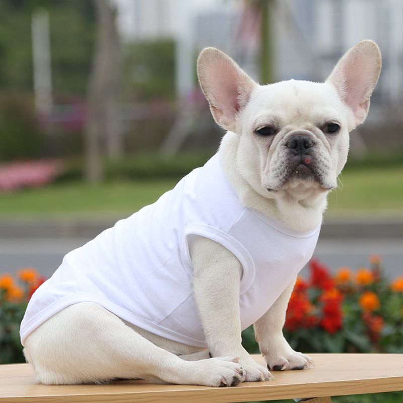 Cotton Pet Vest Dog Cat Clothing Small Large Pure cotton vest pure white XL — image 1