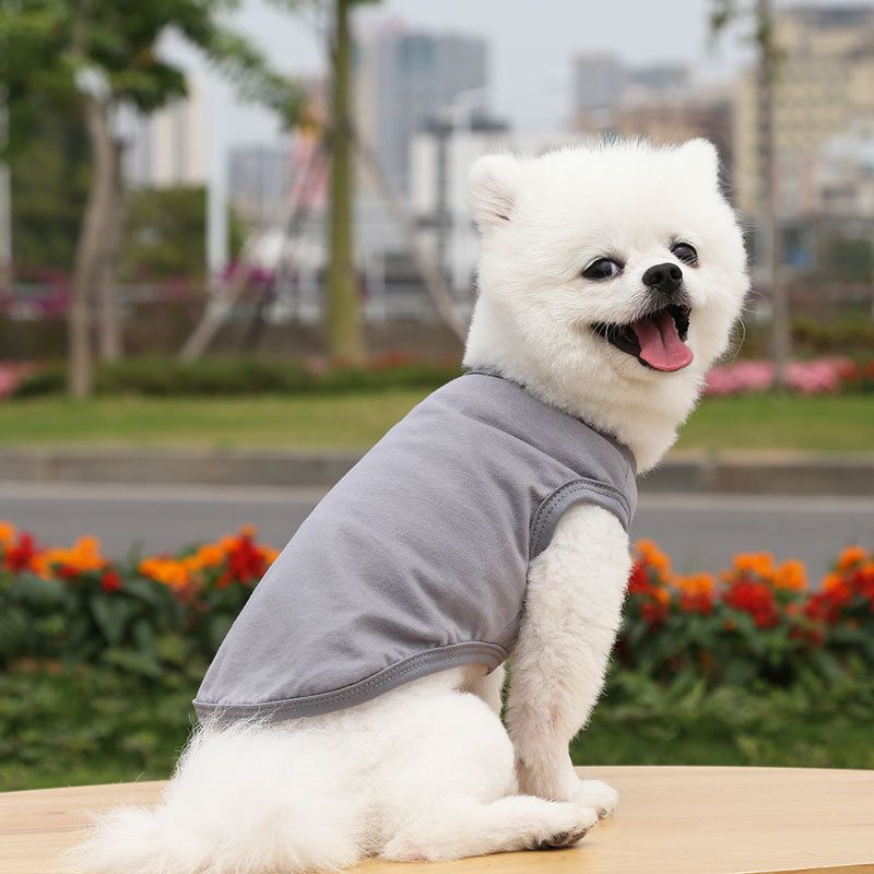 Cotton Pet Vest Clothing for Dogs and Cats by shine Pure cotton vest pure gray — image 1