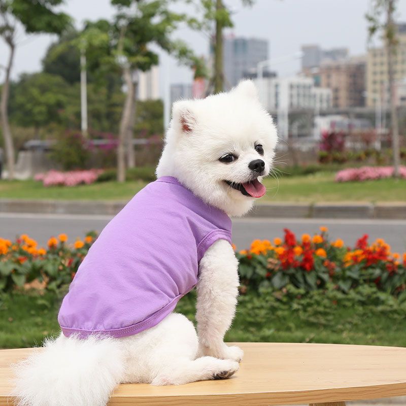 Cotton Pet Vest Clothing for Dogs and Cats by shine Pure cotton vest pure — image 1