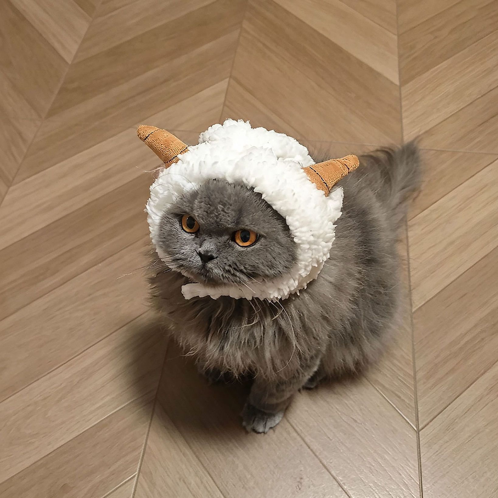Pet Cat Hat AMOOR Sheep Costume M Lamb Hat view 2