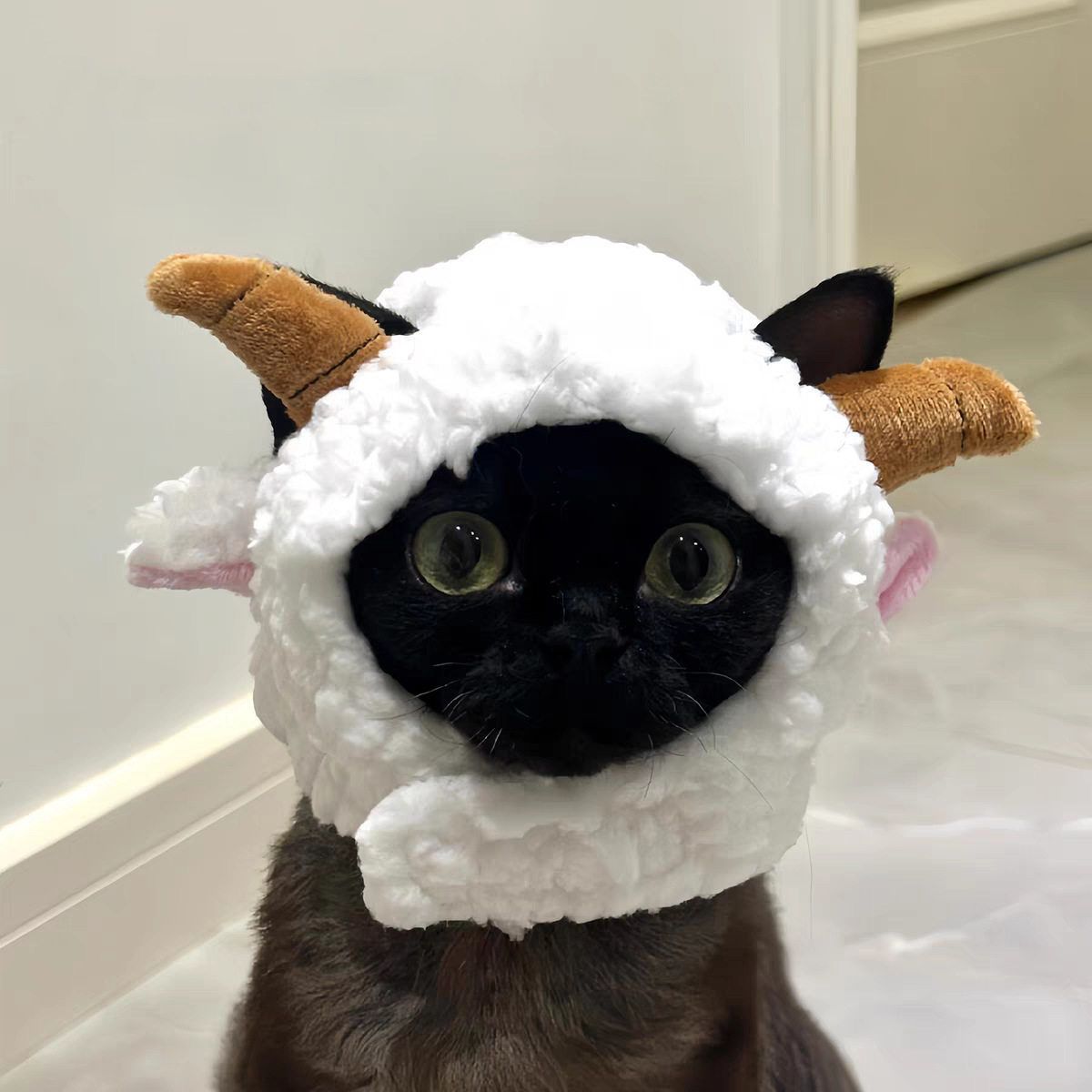 Pet Cat Hat AMOOR Sheep Costume M Lamb Hat view 3