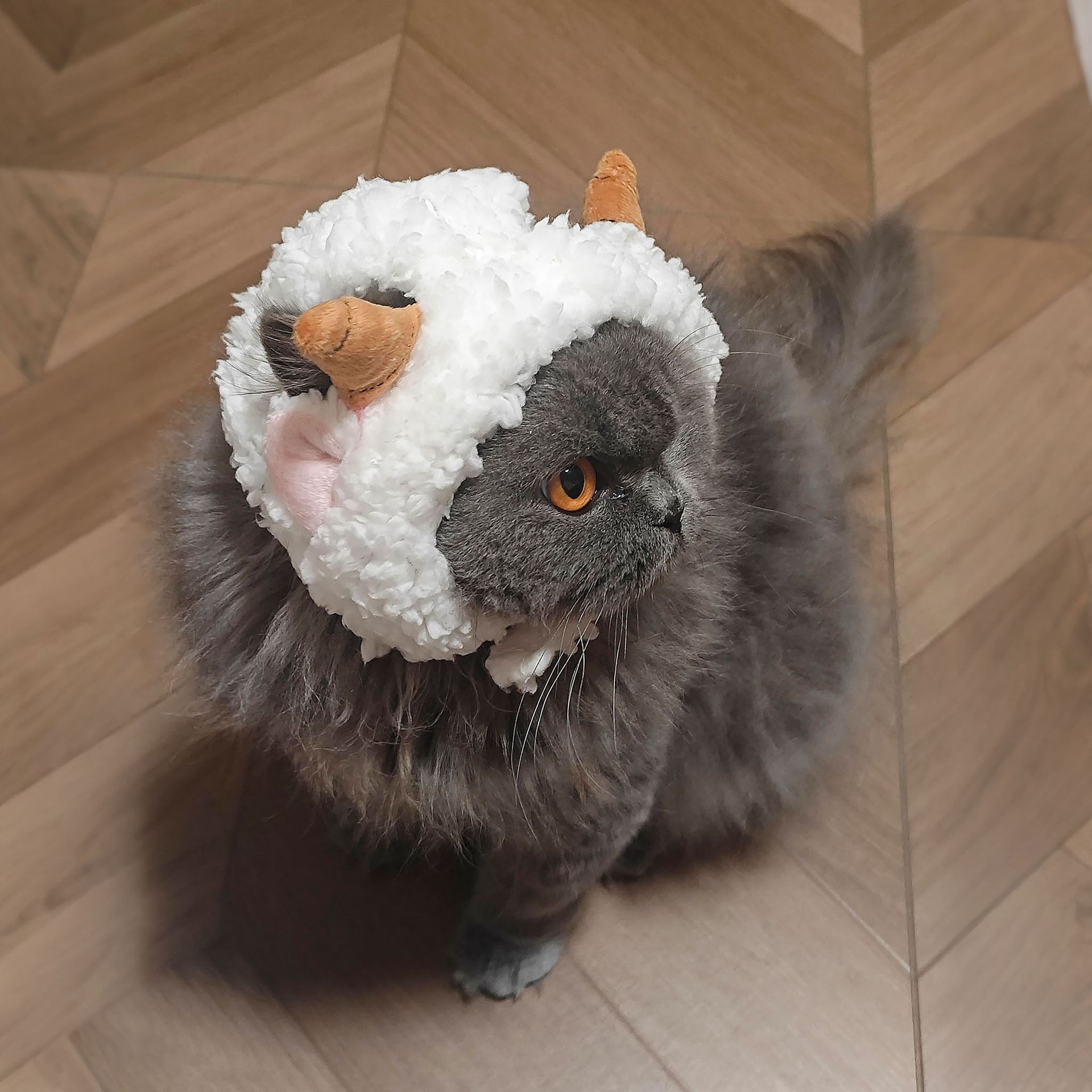 Pet Cat Hat AMOOR Sheep Costume M Lamb Hat view 4