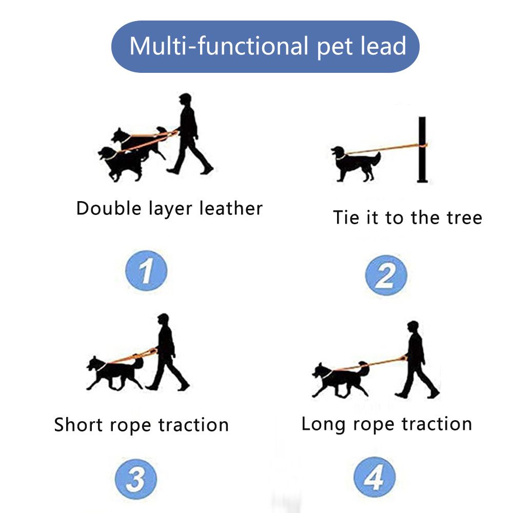 Roommate Dog Leash PVC Double Hook 1.8m Purple 2.5m*15mm view 3