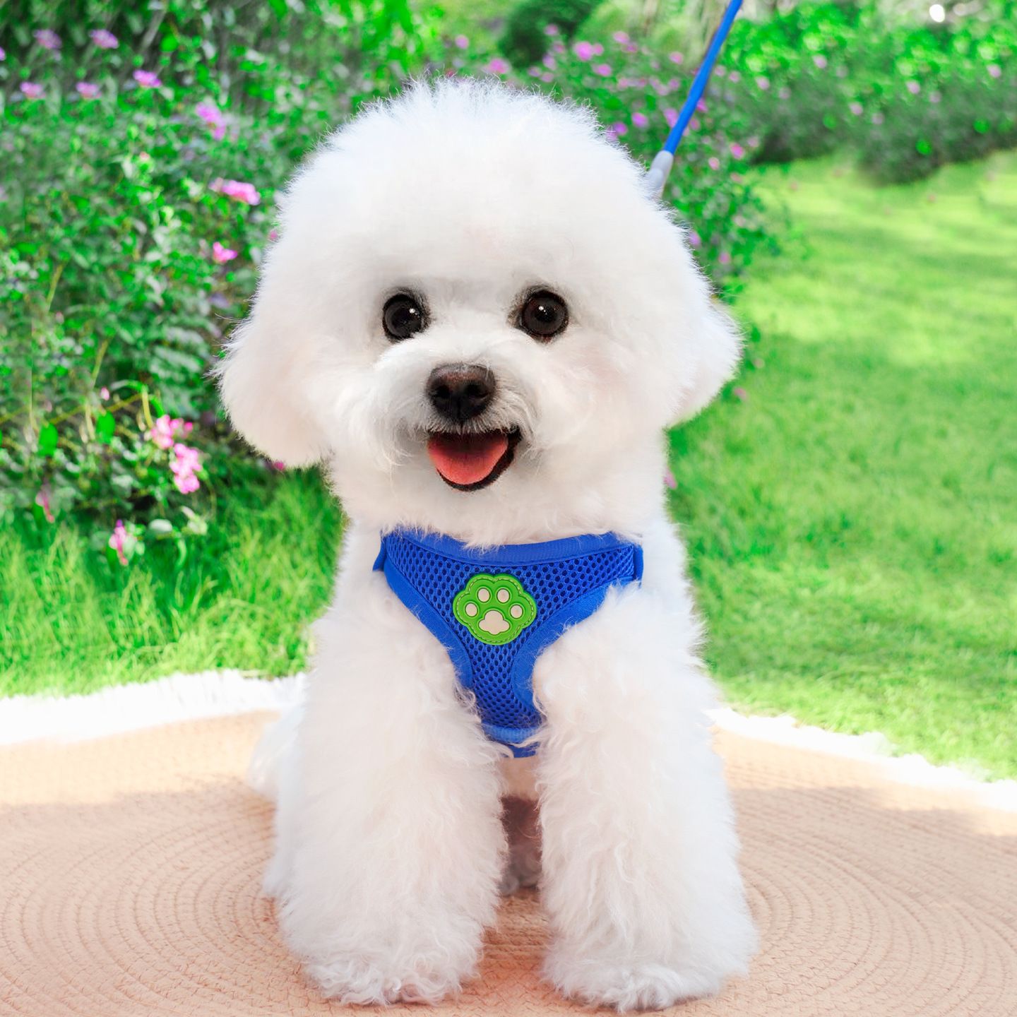 Zichen Vest Style Dog Leash Harness Polyester Red (single chest harness) view 5