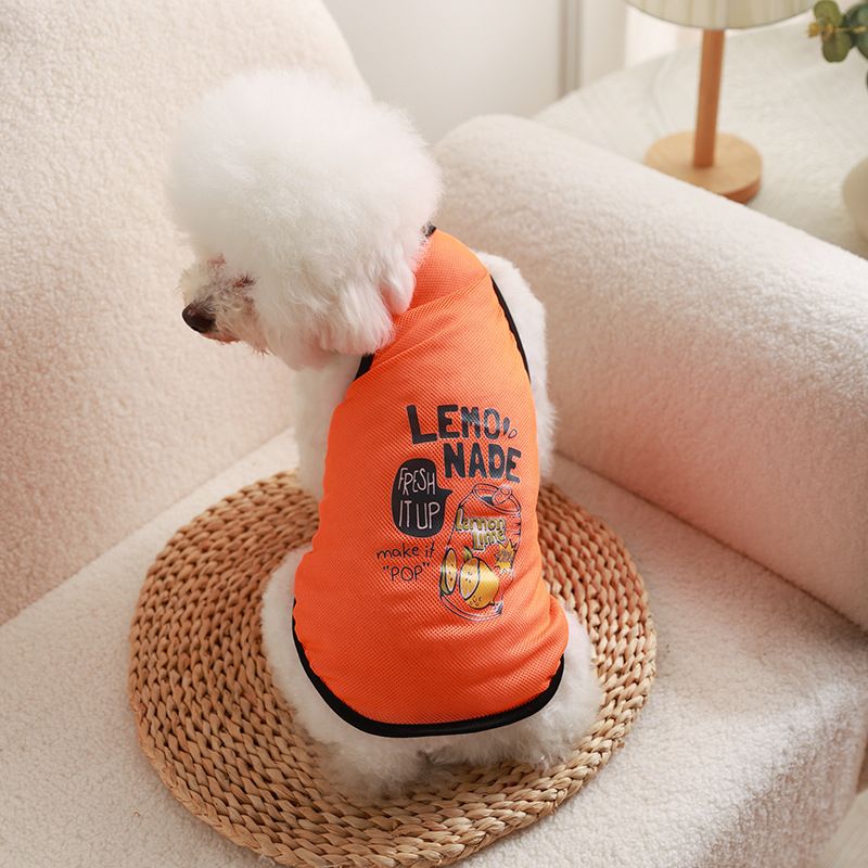Pet Mesh Vest Polyester Trendy Cartoon Style Mesh vest-lemon can — image 1