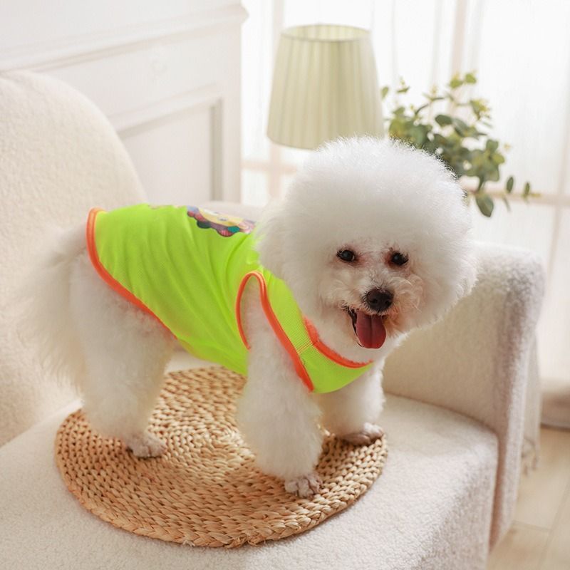 Pet Mesh Vest Polyester Trendy Cartoon Style Mesh vest-scooter L view 3