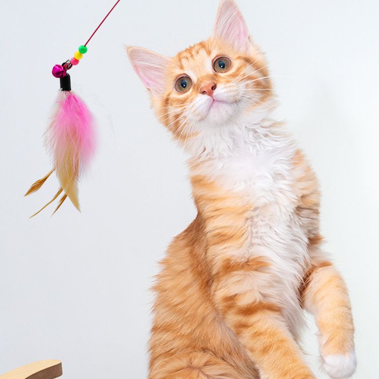 Cat Teaser Stick Plastic Brand Funny Cat Ball Steel wire feather [random view 2