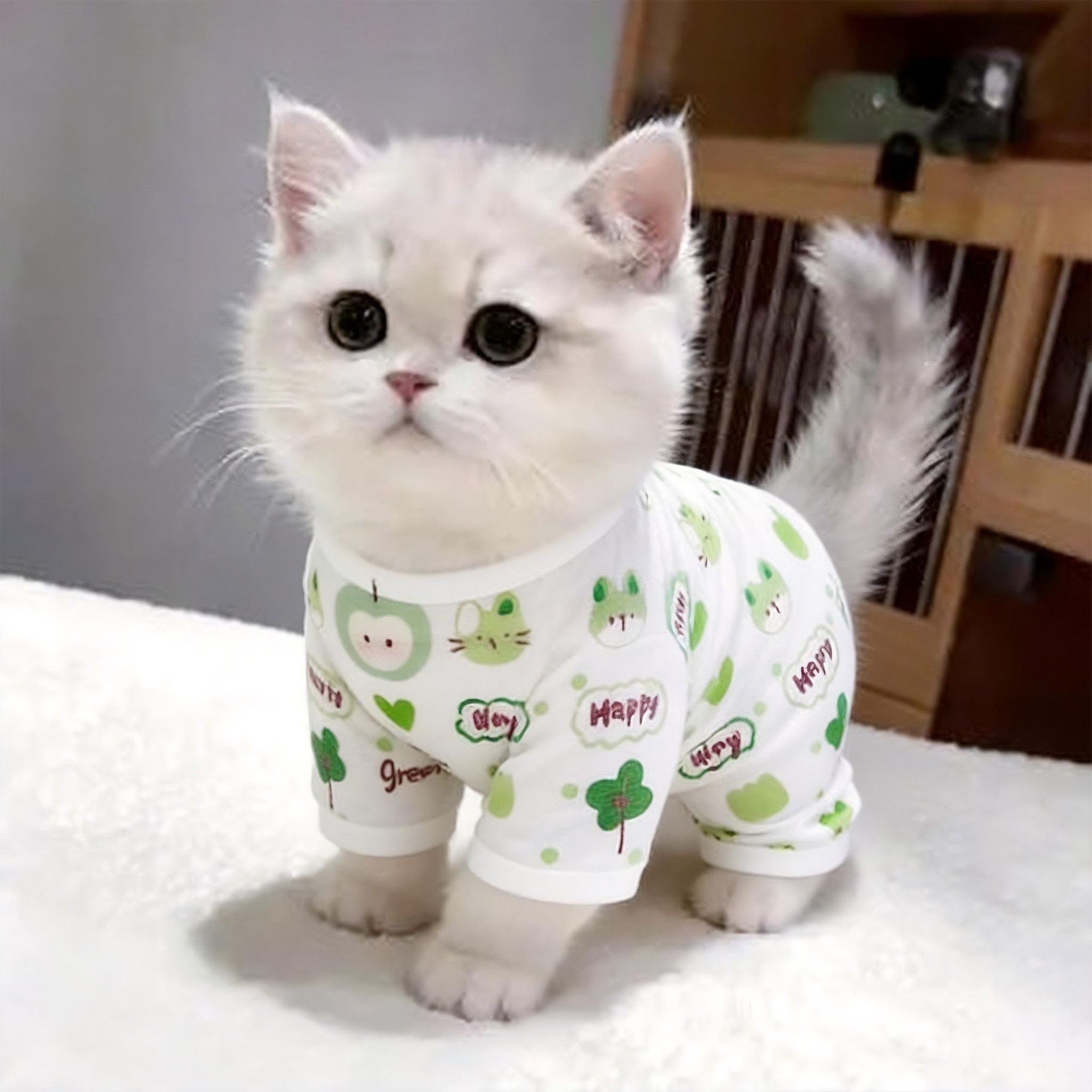 Cat Clothes Amoor Four Legged Polyester Avocado [four-legged clothing] view 2
