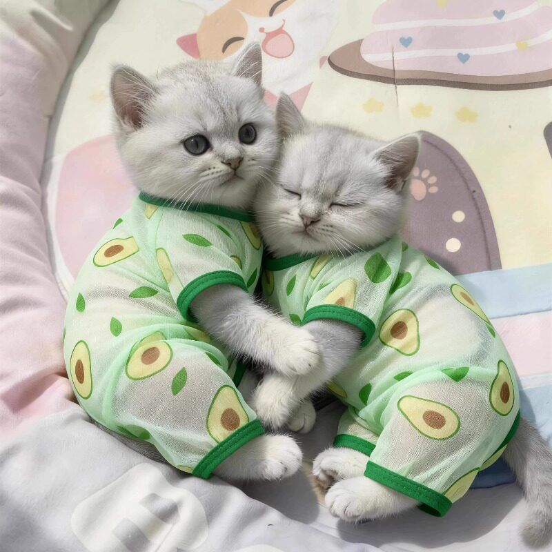 Cat Clothes Amoor Four Legged Polyester Avocado [four-legged clothing] view 4