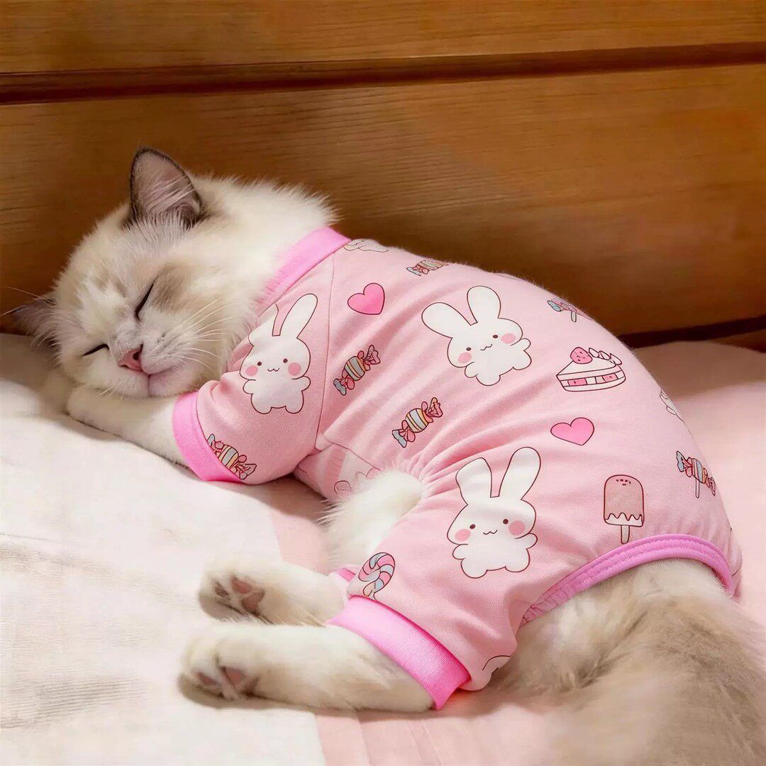 Cat Clothes Amoor Four Legged Polyester Little white rabbit [four-legged