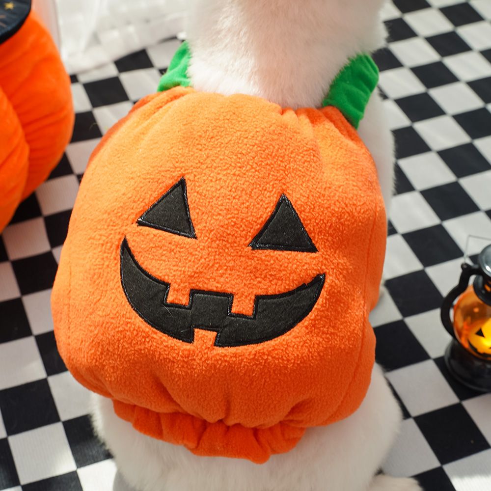 Pet Halloween Costume Shine Small Medium Dog Cat 397 Pumpkin Cotton-filled XS — image 1