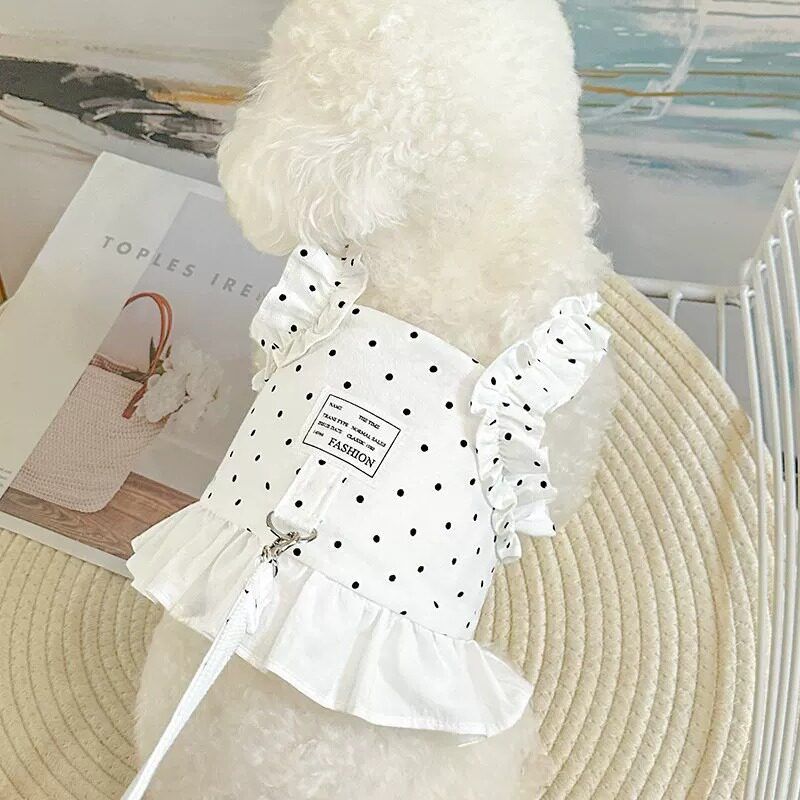 AMOOR Dog Summer Dress Lace Polka Dot Cherry Cake Skirt [White] XL view 5
