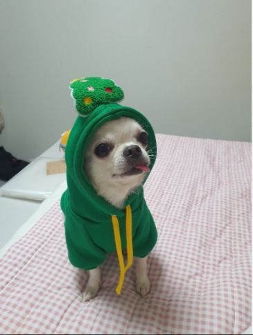 Pet Christmas Hoodie for Dogs Cats Polyester 314A Drawstring Christmas Hoodie — image 1