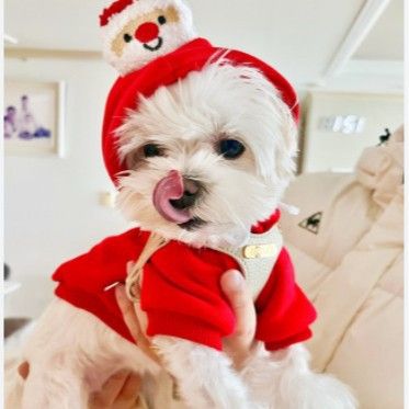 Pet Christmas Hoodie for Dogs Cats Polyester 314A Drawstring Christmas Hoodie view 5