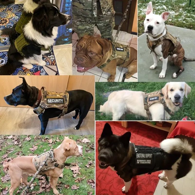 Dog Tactical Vest Polyester Military Style XXL view 3