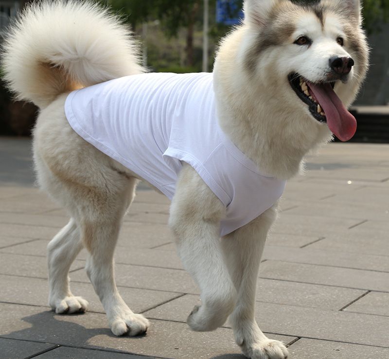 Cotton Pet Vest for Dogs and Cats Pure cotton vest pure white L bust 45 back — image 1