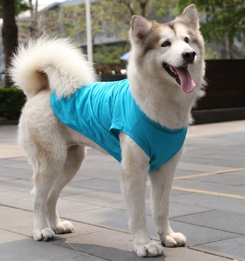 Cotton Pet Vest for Dogs and Cats Pure cotton vest pure lake blue L bust 45 — image 1