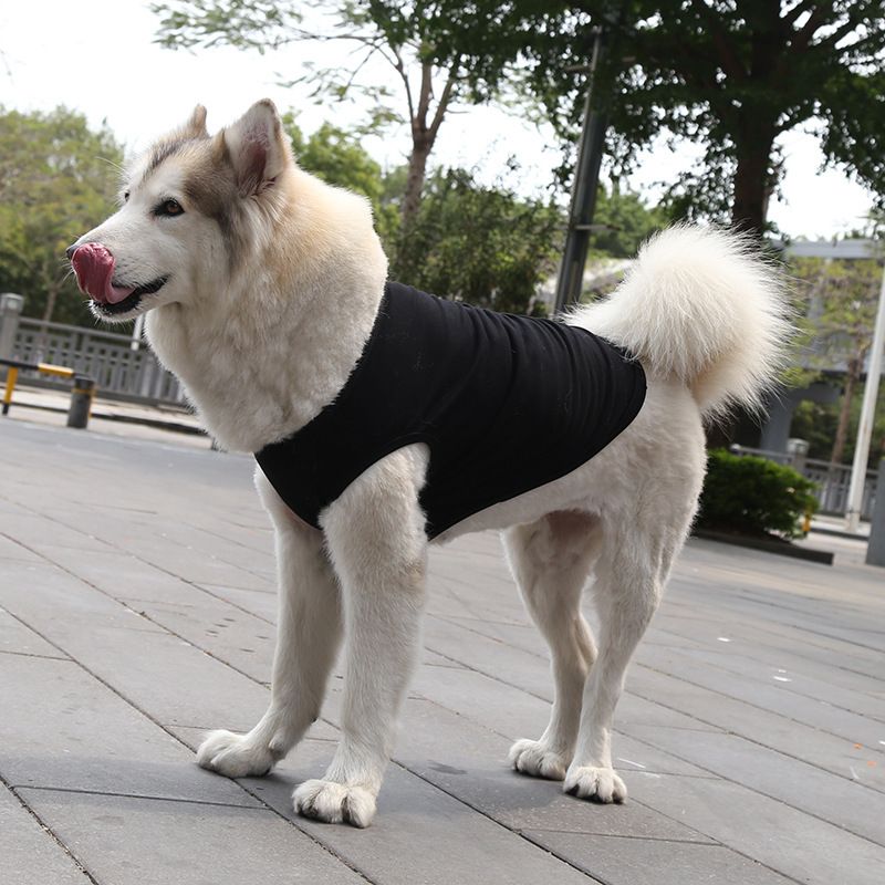 Cotton Pet Vest for Dogs and Cats Pure cotton vest pure black XS bust 30 back — image 1