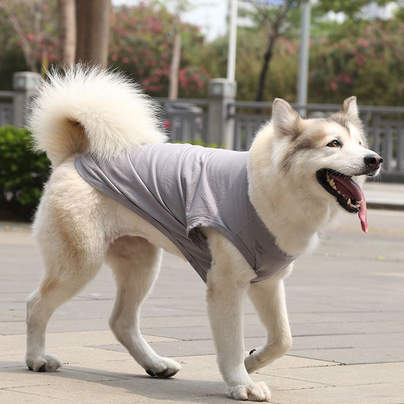 Cotton Pet Vest for Dogs and Cats Pure cotton vest pure gray XS bust 30 back — image 1