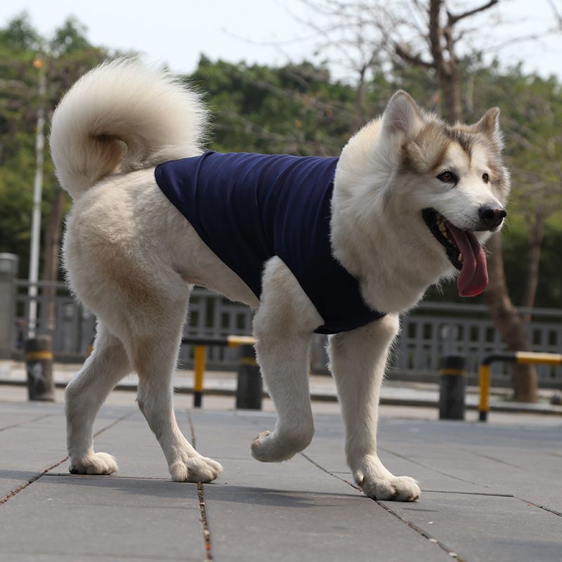Cotton Pet Vest for Dogs and Cats Pure cotton vest juice red 4XL bust 70 back view 3