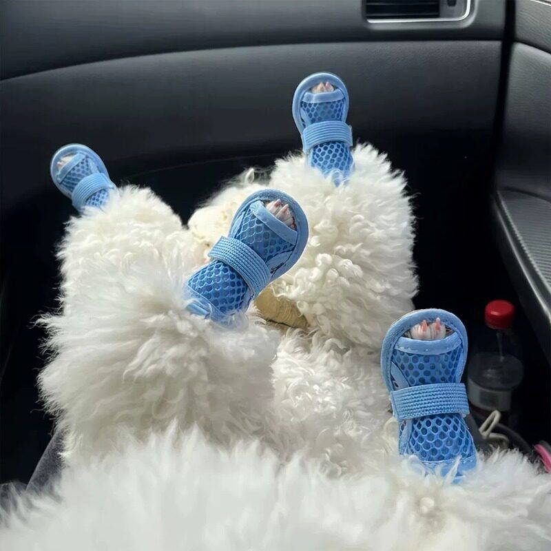 AMOOR Dog Shoes Breathable Mesh Tie Small Puppy Outdoor Blue 4# view 2