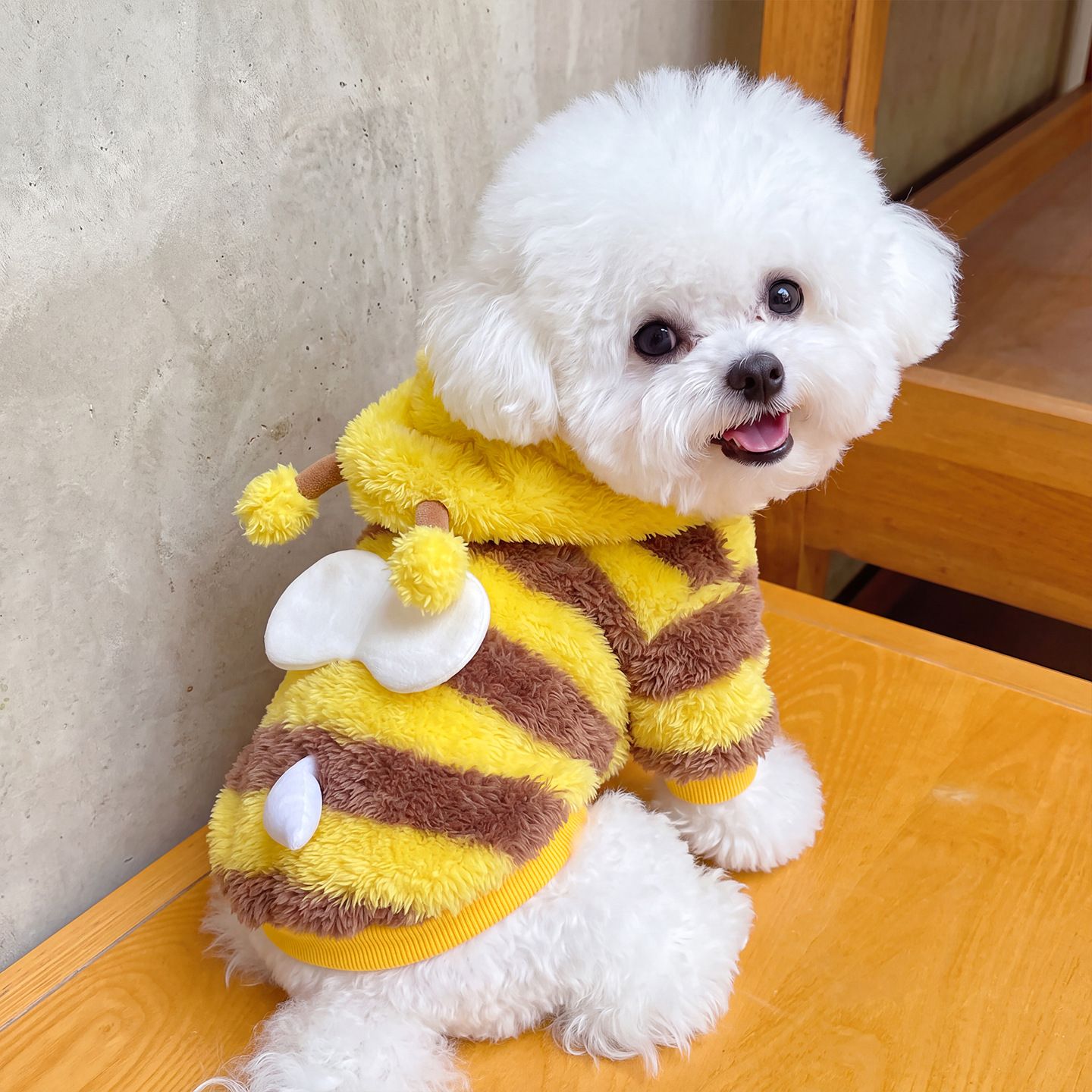 AMOOR Dog Bee Costume Hoodie Wings Wing Bee Four-Legged Dress XXL view 2