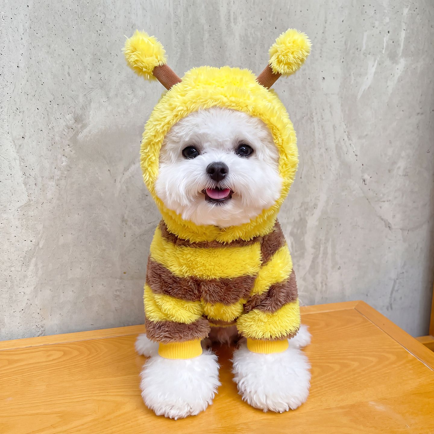 AMOOR Dog Bee Costume Hoodie Wings Wing Bee Four-Legged Dress XXL view 3