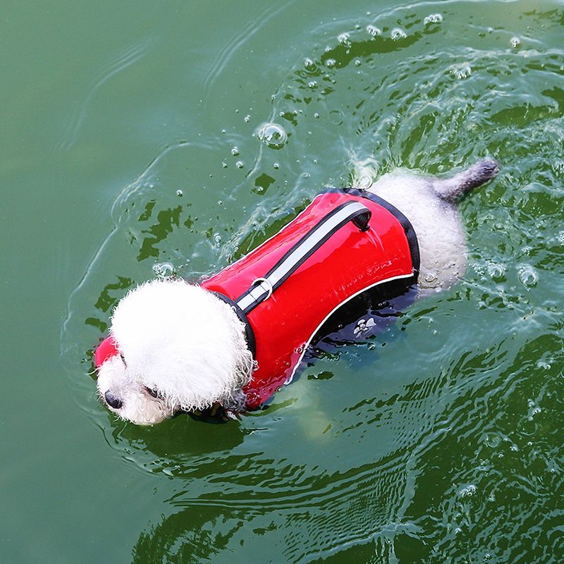 Dog Life Jacket with Rescue Handle and Adjustable Straps — image 1