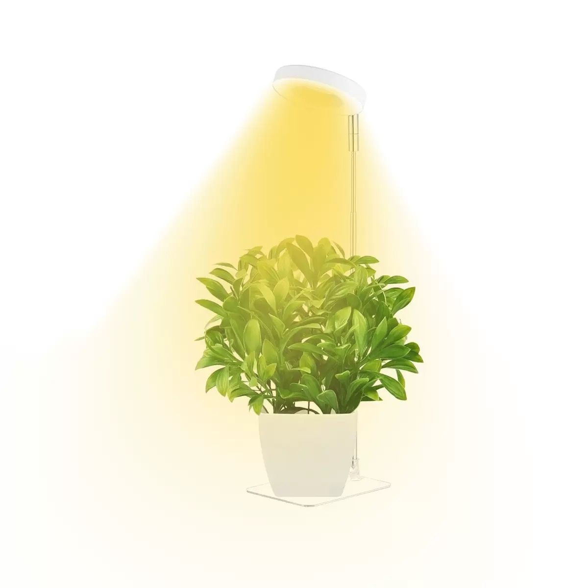 Full Spectrum LED Plant Grow Light with Telescopic Stand view 12