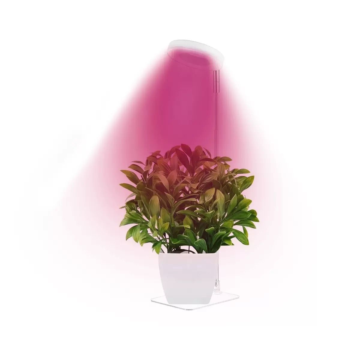 Full Spectrum LED Plant Grow Light with Telescopic Stand view 14