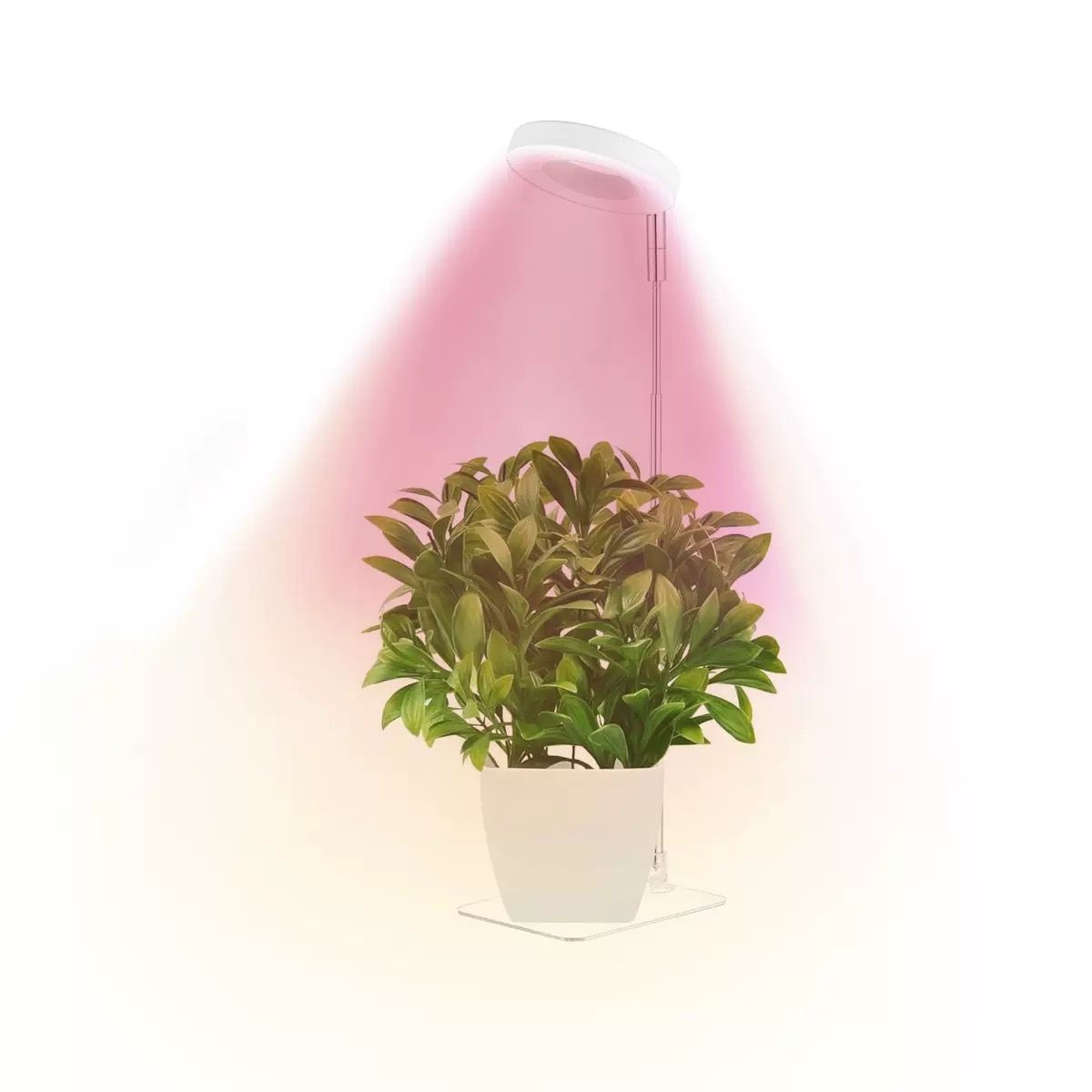Full Spectrum LED Plant Grow Light with Telescopic Stand view 11