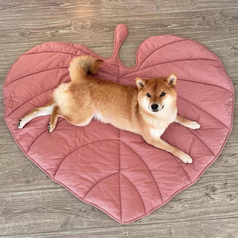 Ginkgo Leaf Shaped Pet Mat – Thickened Multi-Use Plush Blanket & Cushion for