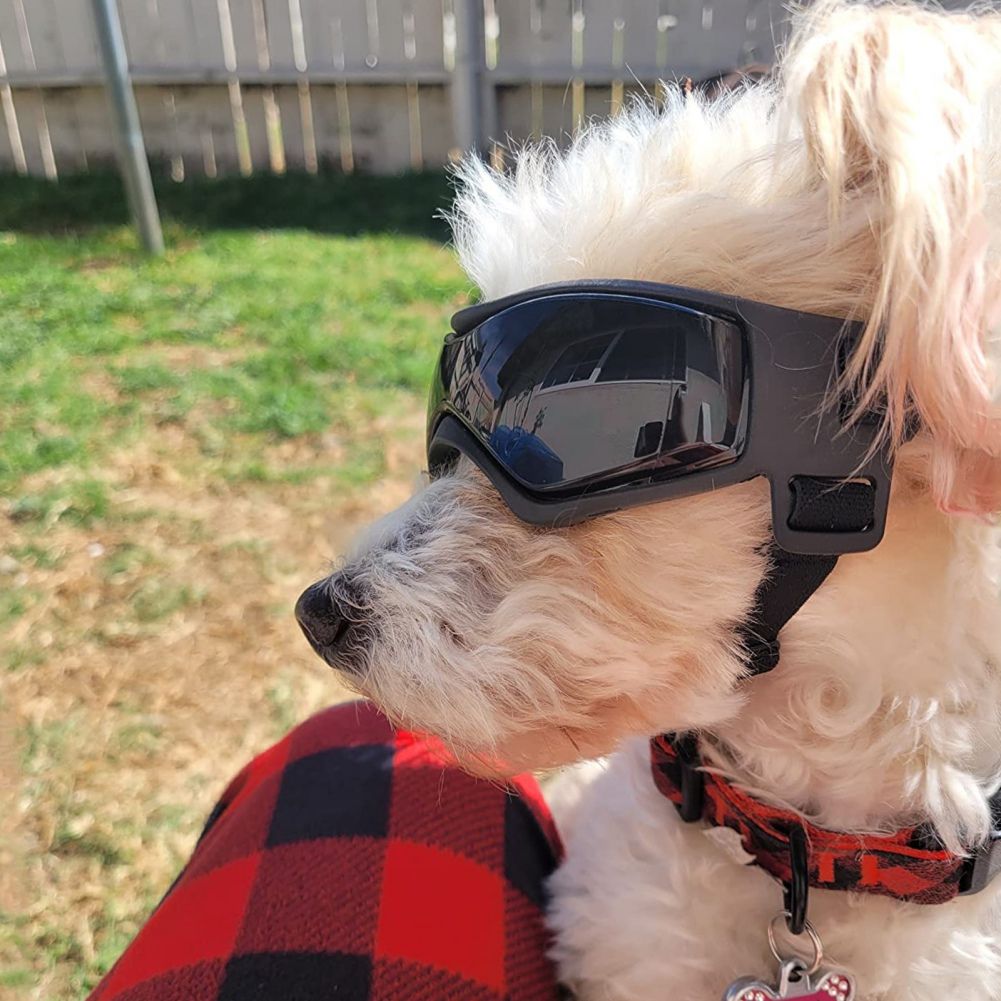 Pet Sunglasses with UV Protection Soft TPU Frame Adjustable Headband Dog view 8