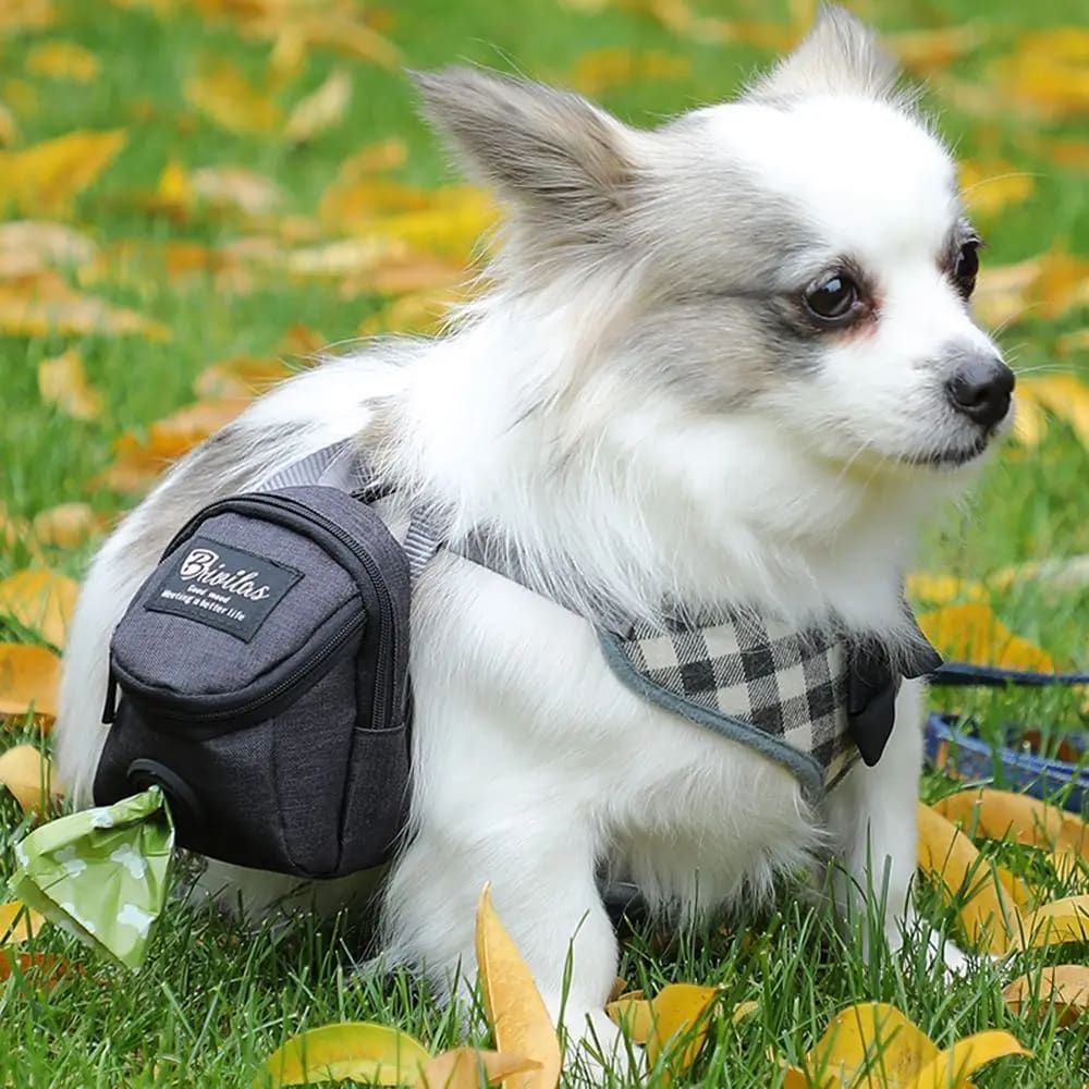 Compact mini backpack dog waste bag holder keeps your hands free during walks view 7