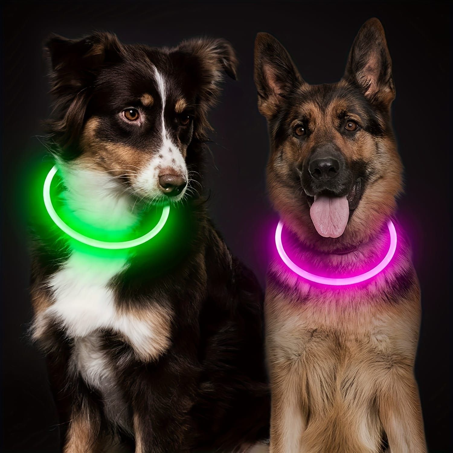 USB Rechargeable LED Glow Pet Collar view 4