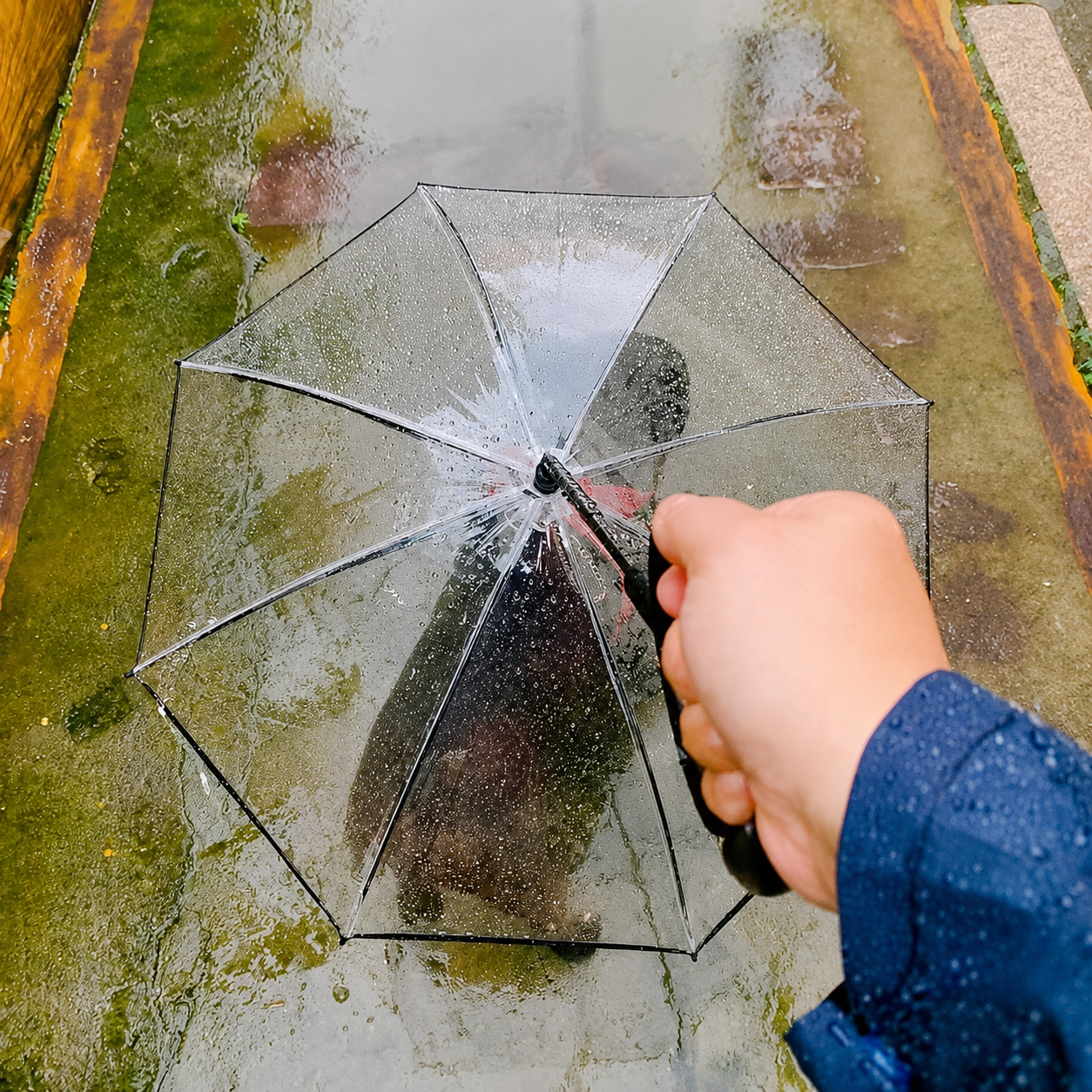 C-Handle Pet Umbrella with Leash Hook – Hands-Free Transparent Rain Protection view 15