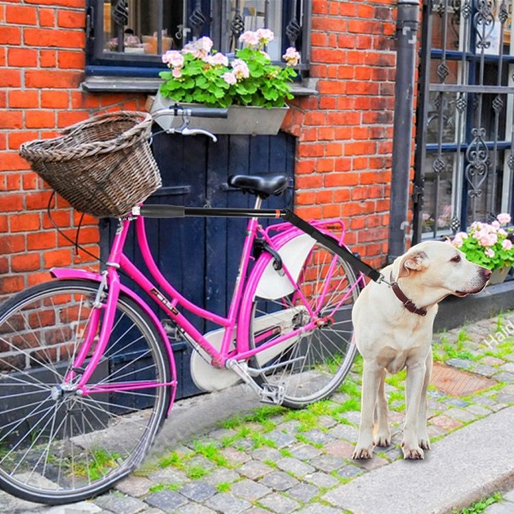 Ride Free, Walk Your Pup: Hands-Free Bike Dog Leash with Shock-Absorbing view 11