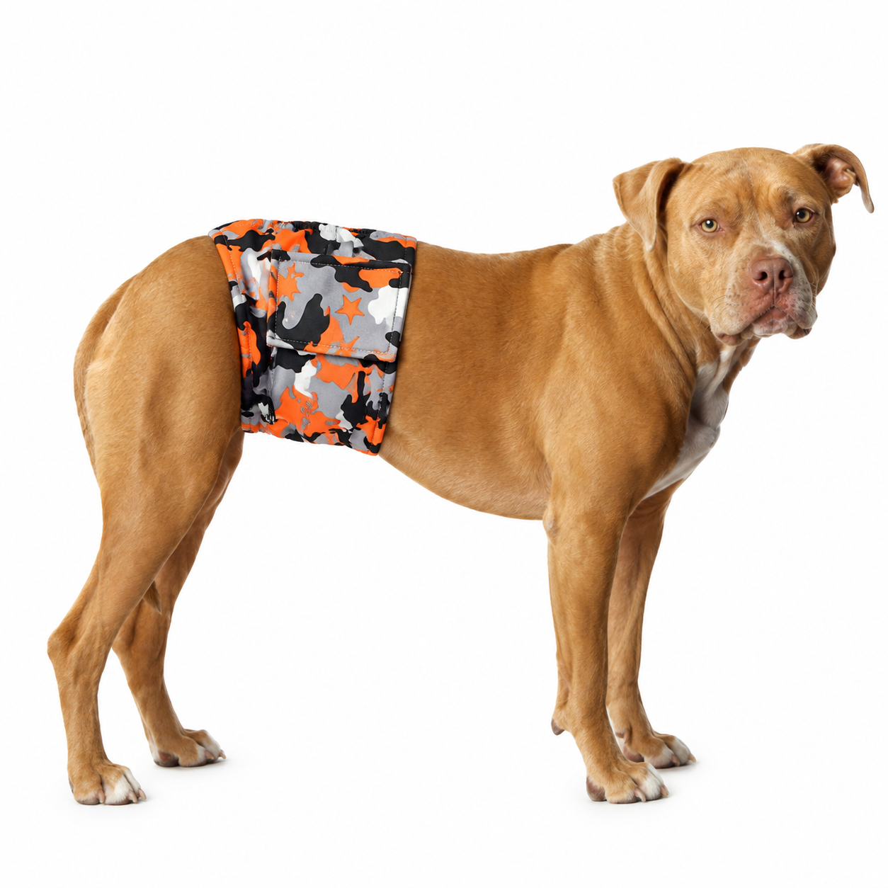 Male Dog Belly Band Wrap Reusable Washable Diaper for Marking Incontinence view 10