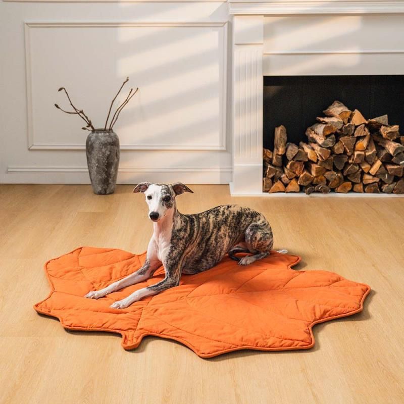 Leaf-Shaped Multi-Functional Pet Mat – Plush