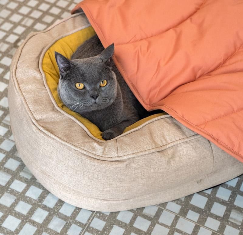 Leaf-Shaped Multi-Functional Pet Mat – Plush view 4