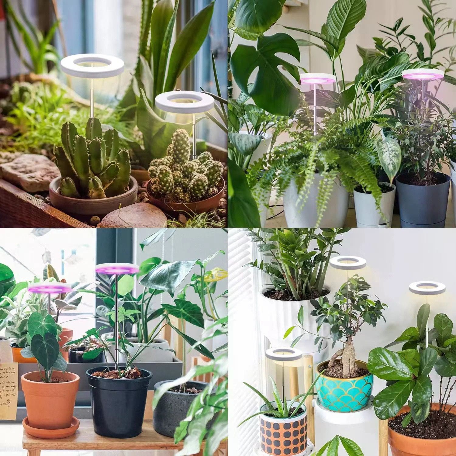Angel Halo Ring LED Plant Grow Light view 7