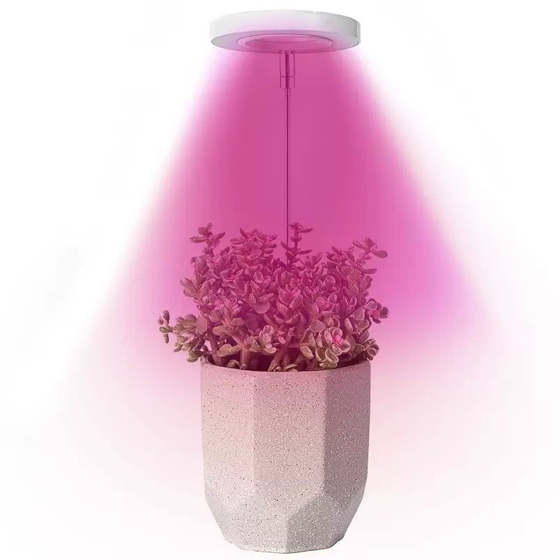 Angel Halo Ring LED Plant Grow Light view 14