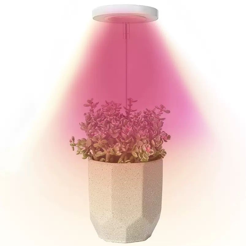 Angel Halo Ring LED Plant Grow Light — image 1