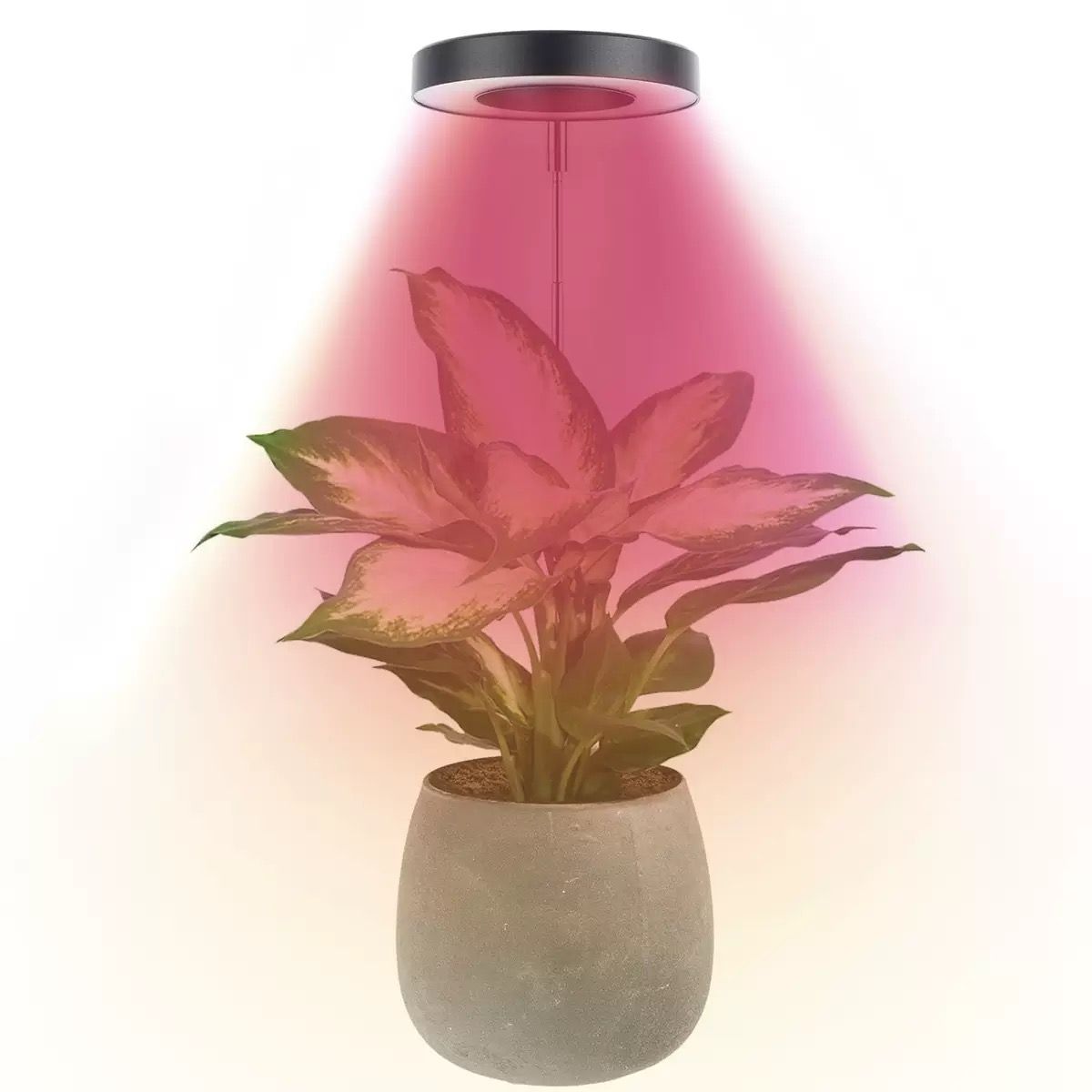 Angel Halo Ring LED Plant Grow Light view 11