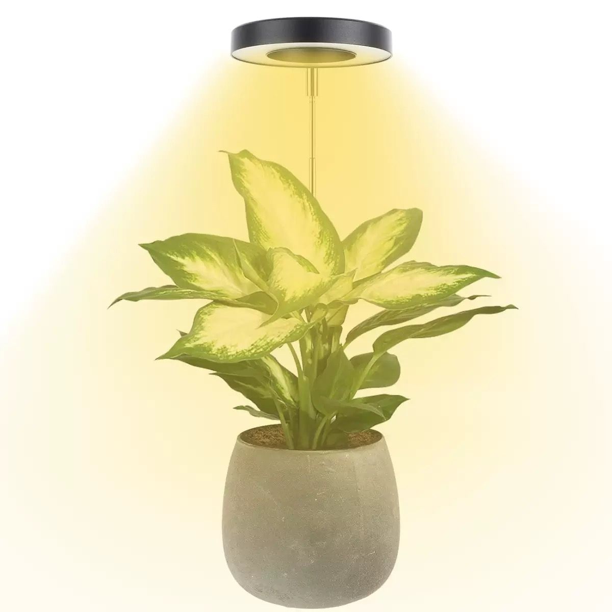 Angel Halo Ring LED Plant Grow Light view 13